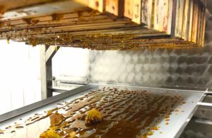 Achat de miel en gros