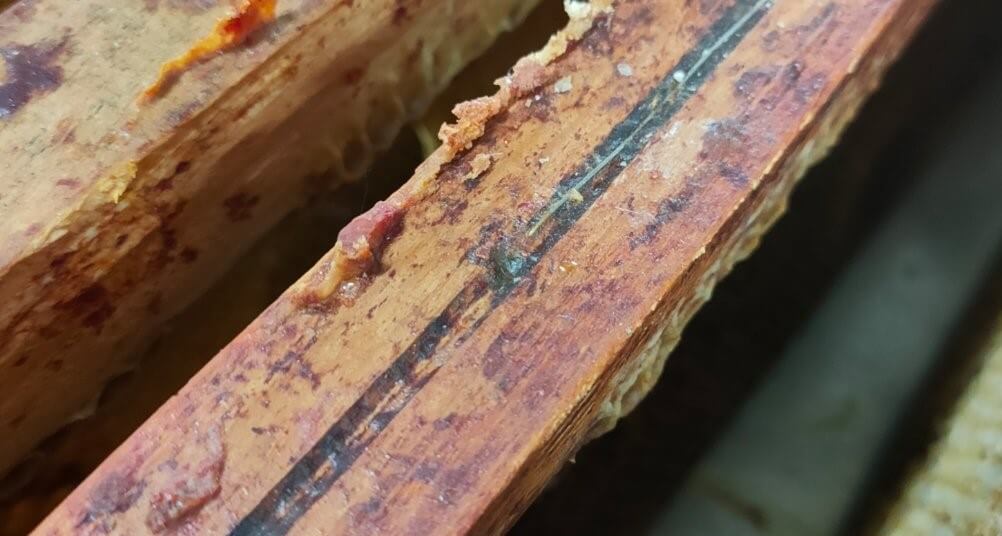 propolis naturel propolis naturel